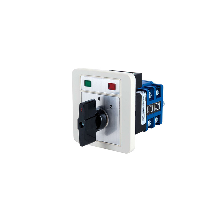 LW39-16N cam switch APT